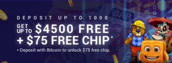 Crypto Reels Free Chip Crypto Reels Free Chip